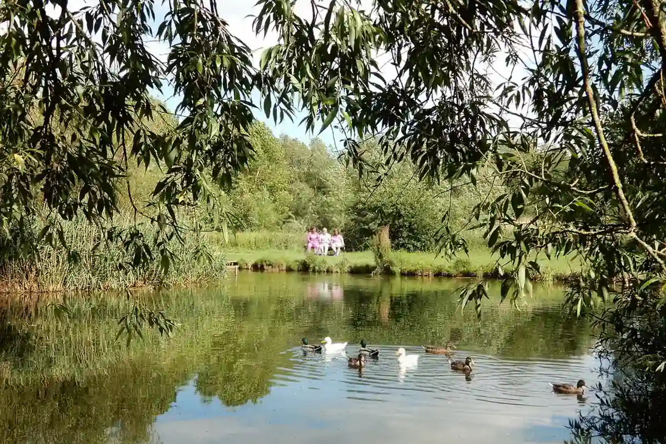 Caldy Nature Park wildlife pond and natural trails